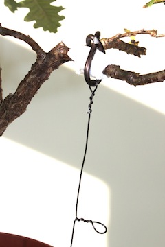 Bonsai tak spannen