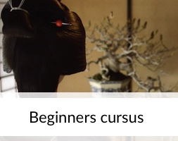 Bonsai Beginners Cursus