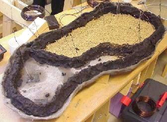 De voorbereide Bonsai schaal