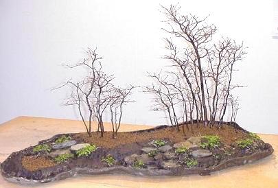 de Bonsai groepsbeplanting Yose-ue