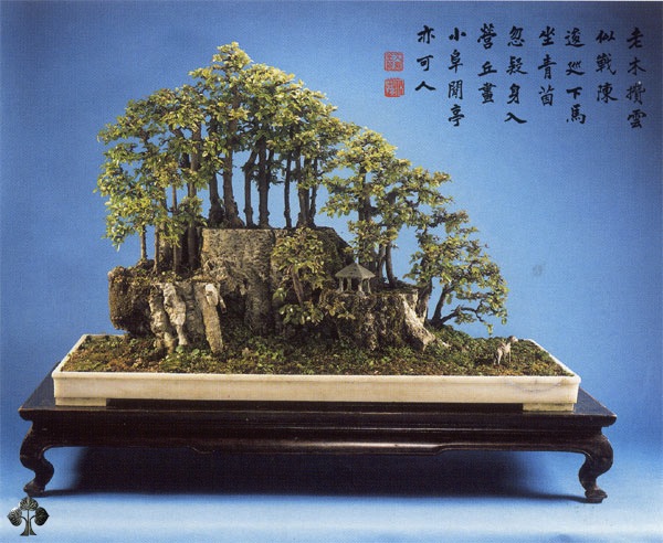 Chinese penjing landscape