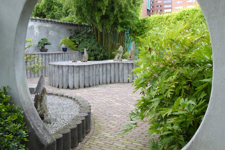 Bonsai in Amsterdam