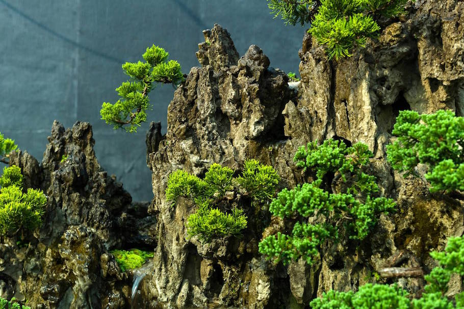 Bonsai landscape from India
