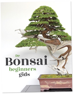 de Bonsai Beginners Gids
