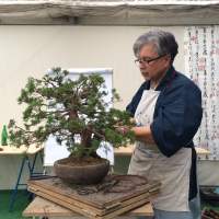 Twickel Bonsai Show tijdens de Pinksterdagen - Bonsai forum - Bonsai Empire